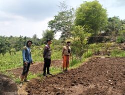 Sukseskan Program Ketahanan Pangan dan Pilkada Damai Bhabinkamtibmas Desa Semaya Lakukan Kunjungan Ke Warga Binaan