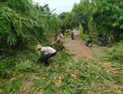 Antisipasi Bencana Alam Bhabinkamtibmas Desa Kerumut Bantu Warga Potong Ranting Pohon   