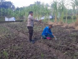 Dukung Program Ketahanan Pangan, Bhabinkamtibmas Desa Anjani Suport Warga dalam Penanaman Jagung