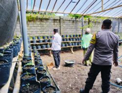 Bhabinkamtibmas Desa Aikdewa Dukung Ketahanan Pangan Dengan Memantau Tanaman Warga Binaan