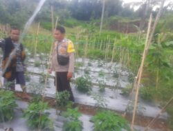 Bhabinkamtibmas Desa Pengadangan Barat Silaturahmi dengan Petani untuk Mendukung Swasembada Pangan