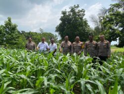 Tim dari Itwasum Mabes Polri Lakukan Pengecekan Kesiapan Polres Lotim Dalam Mendukung Program Ketahanan Pangan