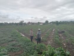 Bhabinkamtibmas Desa Lepak Ajak Warga Berperan Aktif Sukseskan Program Ketahanan Pangan