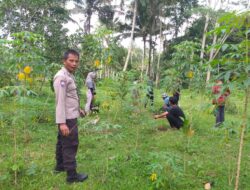 Bhabinkamtibmas Desa Rempung Gelar Silaturahmi, Sambang Desa, dan Penanaman Bibit Buah untuk Dukung Swasembada Pangan