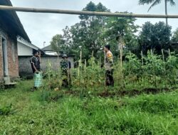 Bhabinkamtibmas Desa Jurit Baru Lakukan Pengecekan Lahan Pekarangan Guna Terwujunya Program Ketahanan Pangan
