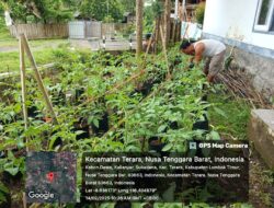 Bhabinkamtibmas Desa Kalianyar Cek Lahan P2B dan Penanaman Sayuran Guna Berjalannya Program Ketahanan Pangan