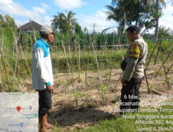 Bhabinkamtibmas Desa Pengadangan Dampingi Program Ketahanan Pangan Bergizi