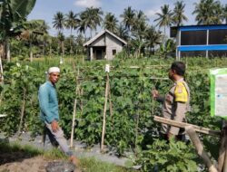 Bhabinkamtibmas Desa Gapuk Sambangi Lahan Ketahanan Pangan Bergizi
