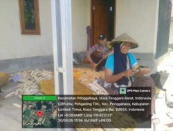 Bhabinkamtibmas Desa Kerumut Bantu Petani Olah Hasil Panen Jagung