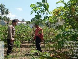 Pengecekan Lahan Ketahanan Pangan Bergizi di Desa Apitaik