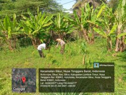 Bhabinkamtibmas Desa Sikur Barat Cek Lahan Ketahanan Pangan Bergizi