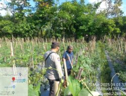 Bhabinkamtibmas Desa Pengadangan Bersama Kelompok Tani Cek Lahan Program Ketahanan Pangan Bergizi