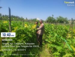 Dukung Program Ketahanan Pangan Bergizi, Bhabinkamtibmas Kelurahan Tanjung Kunjungi Para Petani