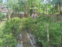 Bhabinkamtibmas Desa Lendang Nangka Utara Cek Lahan Ketahanan Pangan Bergizi