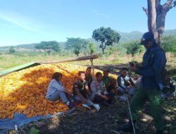 Bhabinkamtibmas Desa Gunung Malang Sambangi Warga Dukung Program Ketahanan Pangan Bergizi