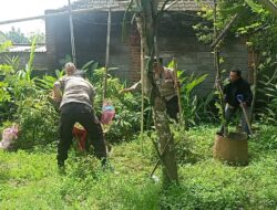 Bhabinkamtibmas Dan Kanit Binmas Polsek Masbagik Cek Lahan Pekarangan Lestari Di Masbagik Selatan
