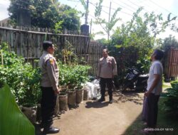 Kapolsek sakra akp Bersama Anggota Tinjau Lahan Ketahanan Pangan