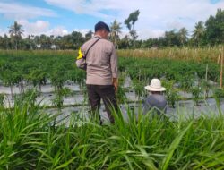 Bhabinkamtibmas Desa Tetebatu Selatan Cek Lahan Ketahanan Pangan Bergizi