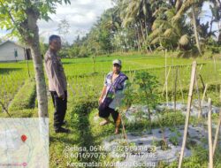 Konsep OtomatiBhabinkamtibmas Desa Pringga Jurang Lakukan Pengecekan dan Pemeliharaan Program Ketahanan Pangan Bergizi