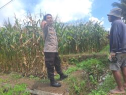 Bhabinkamtibmas Desa Teros Lakukan Pengecekan Lahan Ketahanan Pangan Bergizi