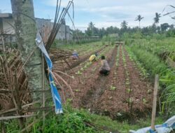 Bhabinkamtibmas Masbagik Utara Baru Sambangi Warga dan Pantau Program Ketahanan Pangan