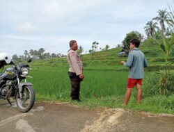 Bhabinkamtibmas Desa Pringgasela Selatan Lakukan Pemeliharaan Program Ketahanan Pangan Bergizi di Desa Pringgasela Selatan