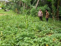 Aipda Lalu Eka Wahyudi Cek Lahan Program P2B di Desa Kembang Kuning