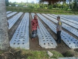Bhabinkamtibmas Masbagik Utara Sambangi Petani, Dukung Ketahanan Pangan dan Kamtibmas