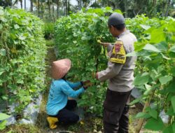 Bhabinkamtibmas Desa Lendang Nangka Utara Cek Lahan Ketahanan Pangan Bergizi