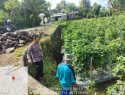 Bhabinkamtibmas Desa Pringgajurang Lakukan Pengecekan Lahan Program Ketahanan Pangan Bergizi