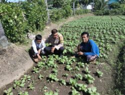 Bripka Agus Salim Silaturahmi dan Pantau Program Ketahanan Pangan di Desa Binaan