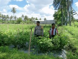 Bripka Amrullah Sambangi Warga dan Pantau Ketahanan Pangan di Desa Masbagik Utara Baru
