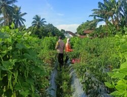 Bhabinkamtibmas Desa Masbagik Utara Sambang Warga dan Kontrol Petani Dukung Ketahanan Pangan