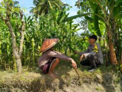 Aipda Samsul Hakim Lakukan Pengecekan Program Ketahanan Pangan Bergizi di Desa Kerumut