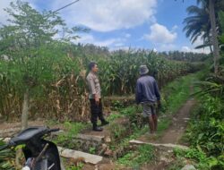 Bhabinkamtibmas Desa Teros Lakukan Pengecekan Lahan Ketahanan Pangan Bergizi