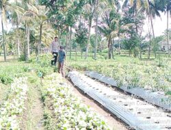  Bhabinkamtibmas Desa Perian, Cek Program Ketahanan pangan