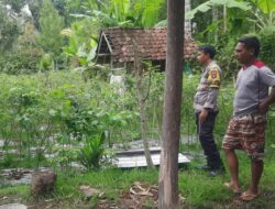 Bhabinkamtibmas Desa Kumbang Sambangi Warga dan Pantau Ketahanan Pangan