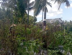 Bhabinkamtibmas Desa Kesik Cek Lahan Program Ketahanan Pangan Bergizi di Dusun Lengkok Ratu