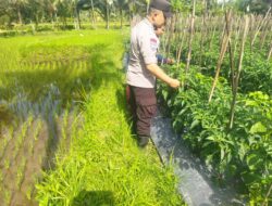 Bhabinkamtibmas Desa Lendang Nangka Laksanakan Pengecekan Ketahanan Pangan Bergizi 