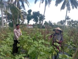 Bhabinkamtibmas Desa Kesik Tinjau Lahan Ketahanan Pangan Bergizi