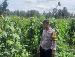 Bhabinkamtibmas Desa Kumbang Laksanakan Silaturahmi dan Monitoring Ketahanan Pangan