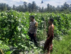 Bhabinkamtibmas Desa Kumbang Sambang dan Monitoring Ketahanan Pangan