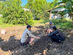 Bhabinkamtibmas Tanjung Luar Tinjau Lahan Program Ketahanan Pangan Bergizi