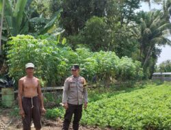 Bhabinkamtibmas Desa Paokmotong Monitoring Pekarangan Bergizi dan Berikan Himbauan Kamtibmas