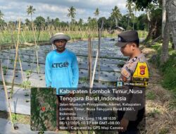 Pengecekan Program Ketahanan Pangan Bergizi (P2B) oleh Bhabinkamtibmas di Pringgasela Timur