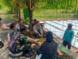 Bhabinkamtibmas Desa Darmasari Laksanakan Cek Lahan Ketahanan Pangan Bergizi