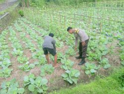 Bripka Amrullah Sambangi Petani dan Kontrol Lahan Ketahanan Pangan di Masbagik Utara Baru