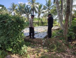 Bhabinkamtibmas Desa Paokmotong Lakukan Monitoring Tanaman Pekarangan Bergizi