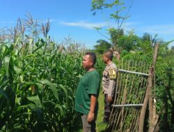 Bhabinkamtibmas Masbagik Utara Lakukan Silaturahmi dan Kontrol Lahan Demi Ketahanan Pangan