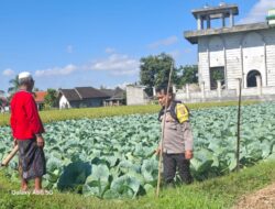 Bhabinkamtibmas Desa Danger Lakukan Silaturahmi Dan Kontrol Ketahanan Pangan